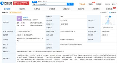 網(wǎng)絡(luò)文化經(jīng)營 定義、挑戰(zhàn)與未來展望